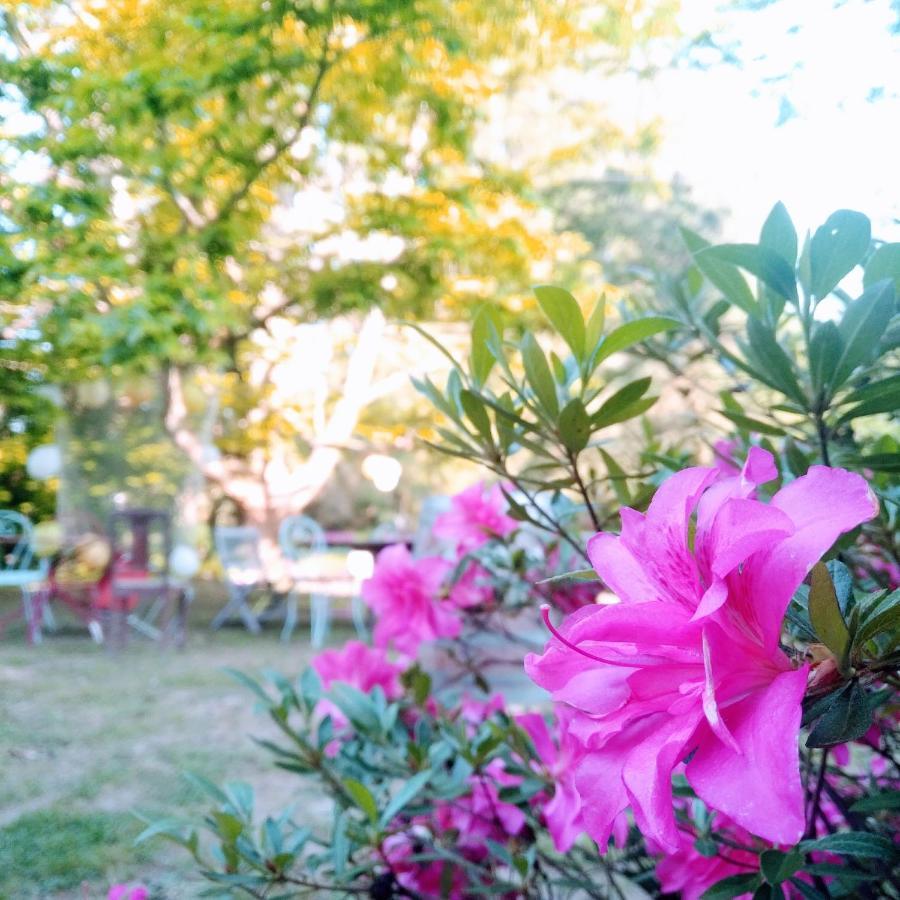 Domaine De La Clef Des Champs Bed & Breakfast Limeray Luaran gambar